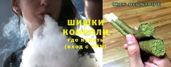 дурь Мегион