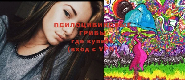 метадон Медногорск
