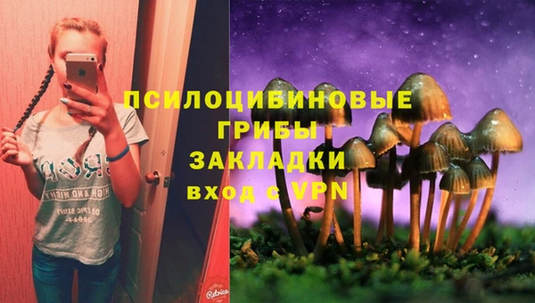 метадон Медногорск