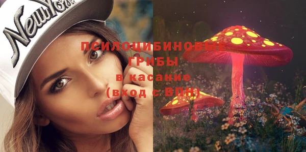 метадон Медногорск