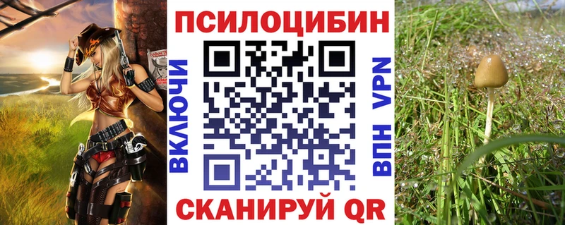 Псилоцибиновые грибы Cubensis  где купить наркоту  Балаково 