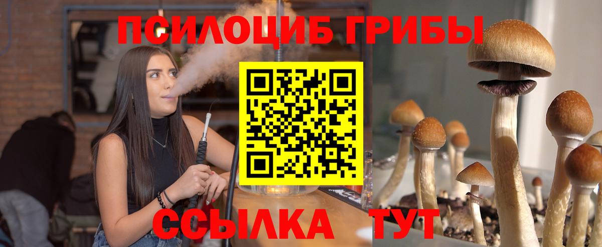 Галлюциногенные грибы MAGIC MUSHROOMS  Псилоцибиновые грибы мицелий  Балаково  Вход с VPN 
